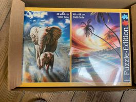 puzzler edition