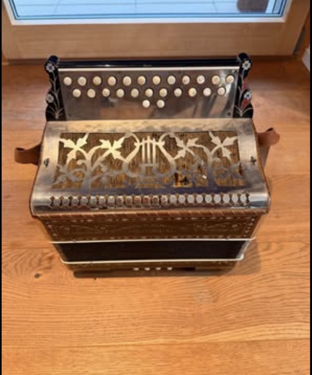 Strumenti musicali: Akkordeon Antik – Usato da Reichenbach i. K. venduto da muntschi01