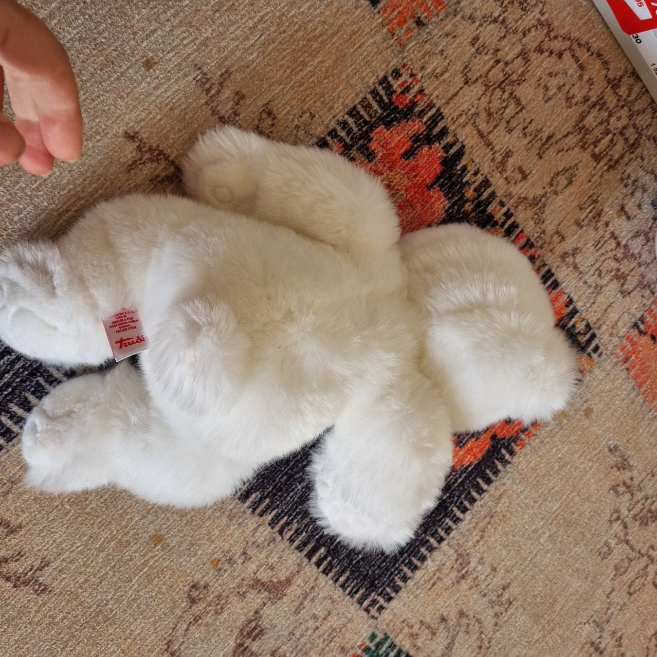 Spielzeuge: Teddy Bär Trudi Plüschtier – Gebraucht aus Buchs AG von Kitten33 1