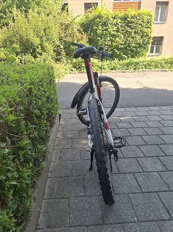Velos: Fahrrad, Specialized – Gebraucht aus Köniz von nlca 1