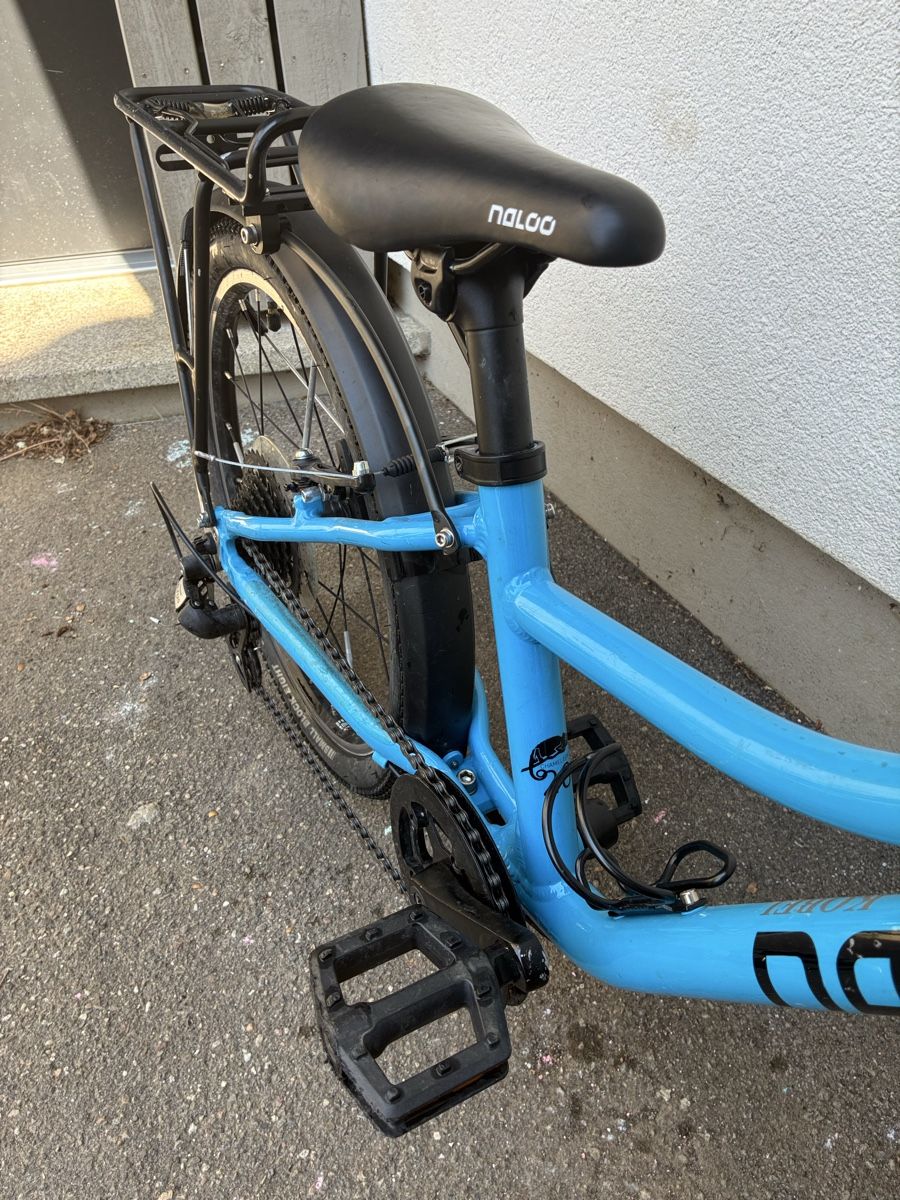 Naloo Biciclette: Kindervelo Naloo Chameleon 20 Zoll – Usato da Arlesheim venduto da sim_rue