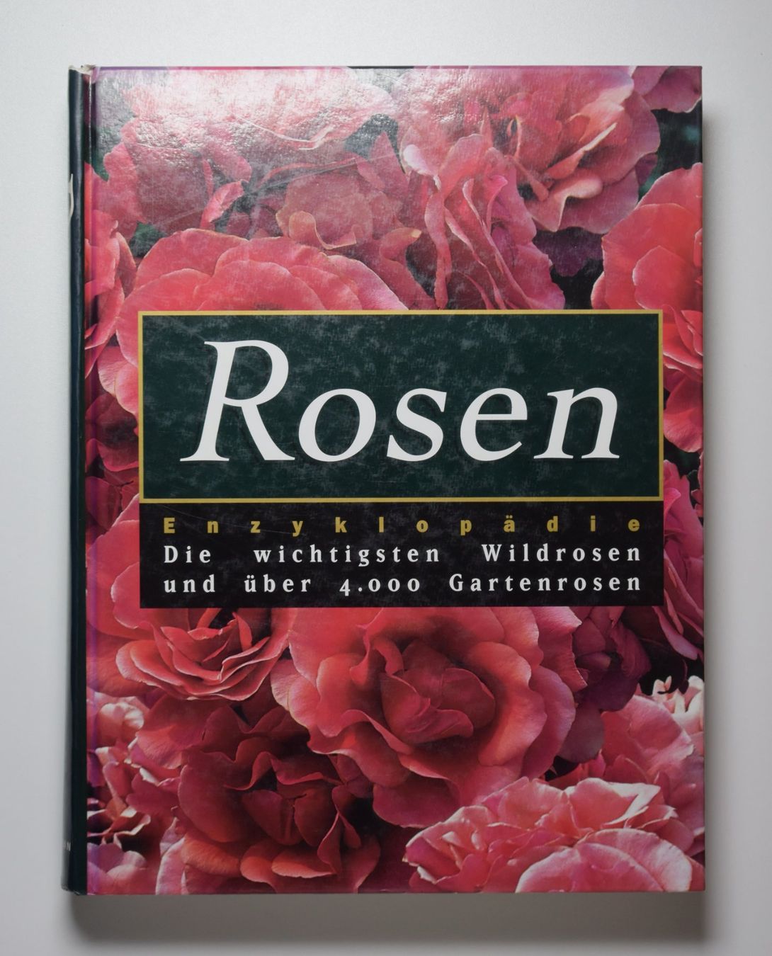 Libri: Konvolut Rosen 3 Titel – Usato da Erschwil venduto da taglang 2