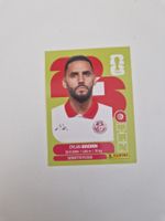 Panini Sticker TUN8