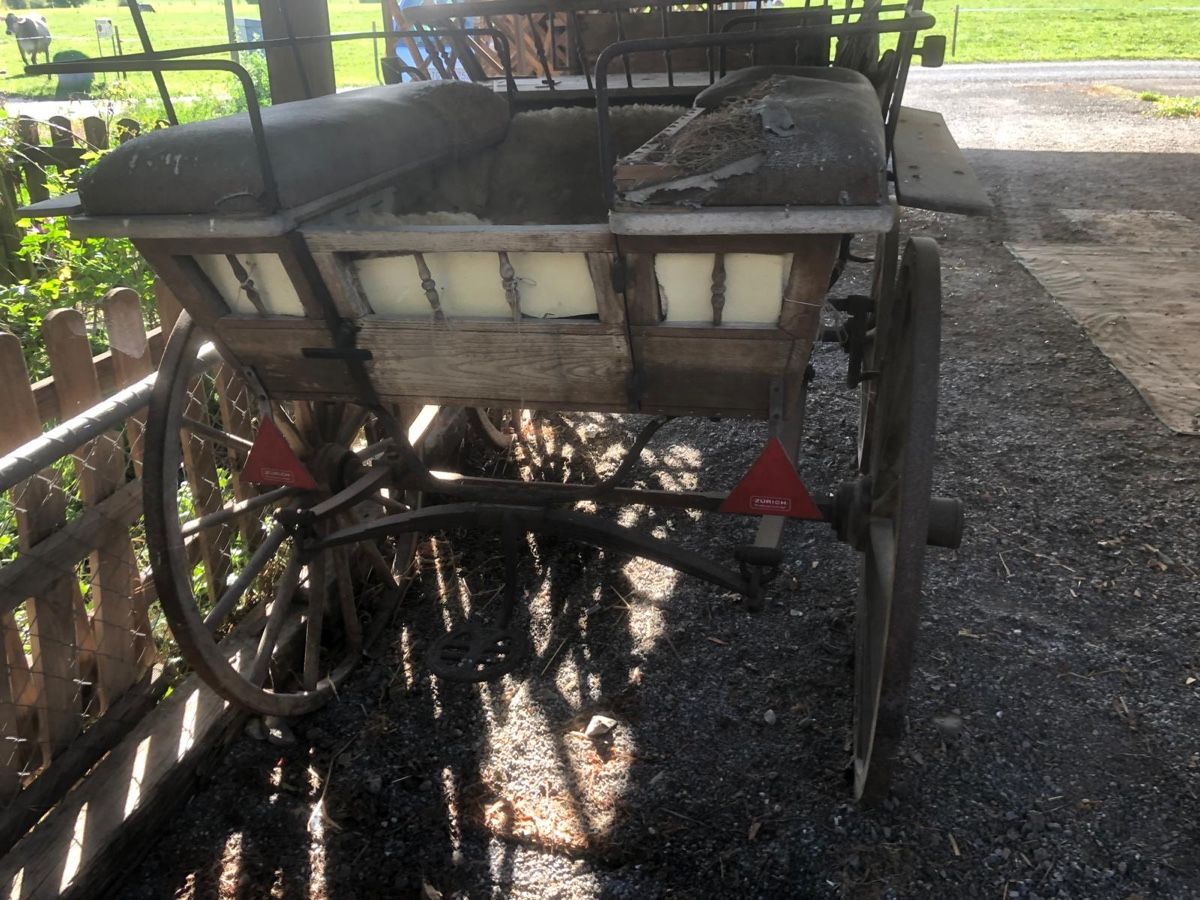 Calèches: Pferdekutsche – D'occasion à Romanshorn par Vredo1806 3