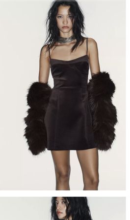 Zara Dress