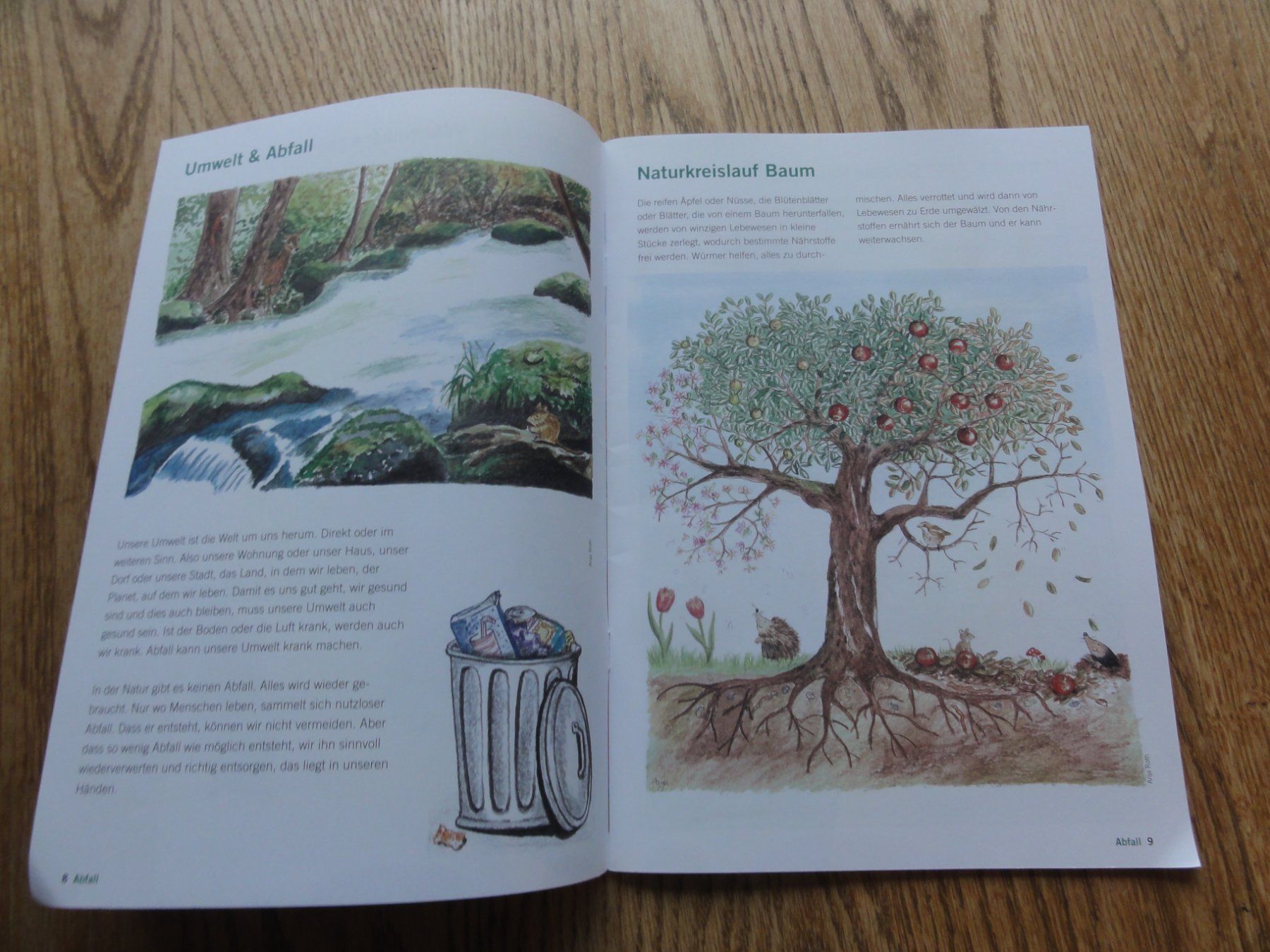 Zeitschriften & Magazine: Wunderfitz: Abfall, Magazin – Gebraucht aus Riedholz von Taweva 2