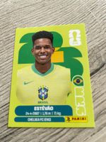 Panini Sticker - Estêvāo