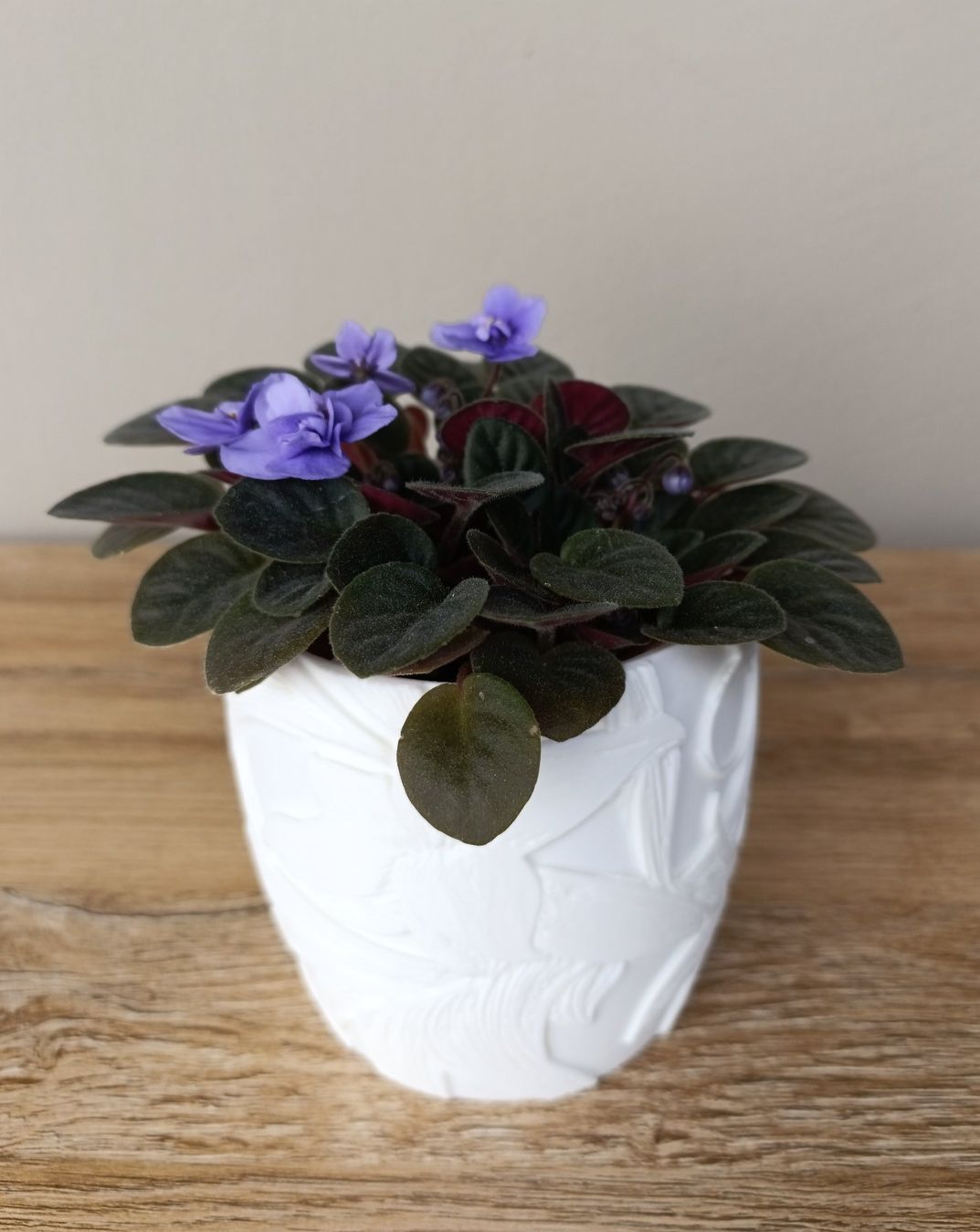 Vasi per fiori: Blumentopf im Jugendstil – Weiß – Usato da Brig venduto da Polymita 2