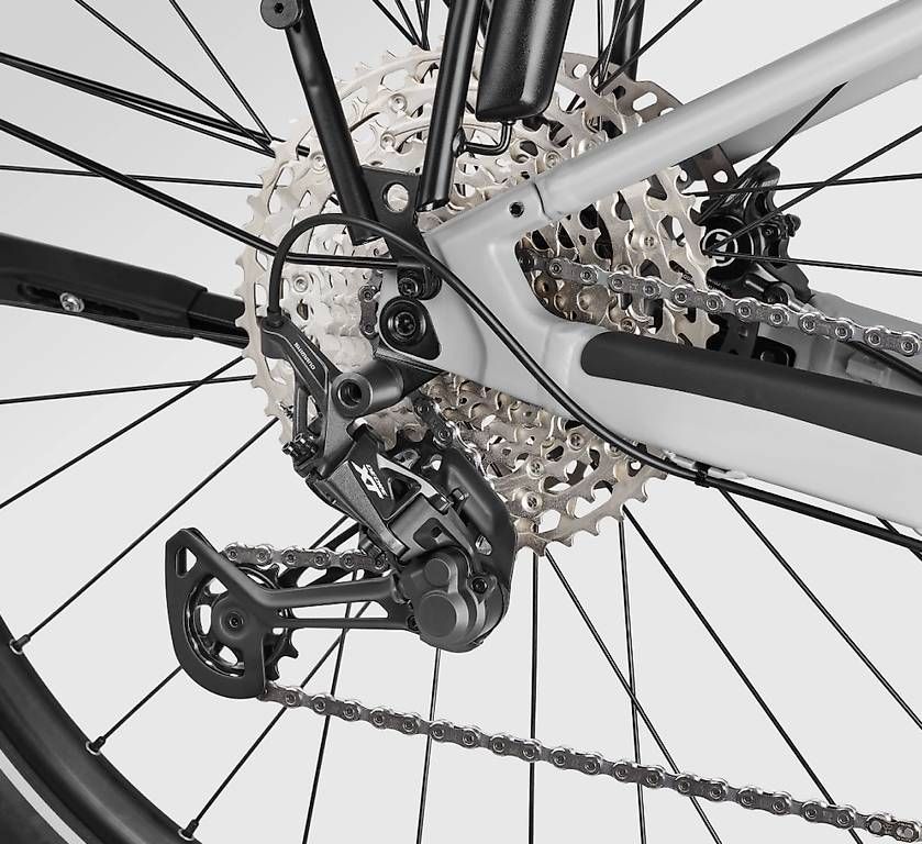 Biciclette: Canyon Pathlite L achat 10.09.2025 – Usato da Le Mont-sur-Lausanne venduto da swisssail 4