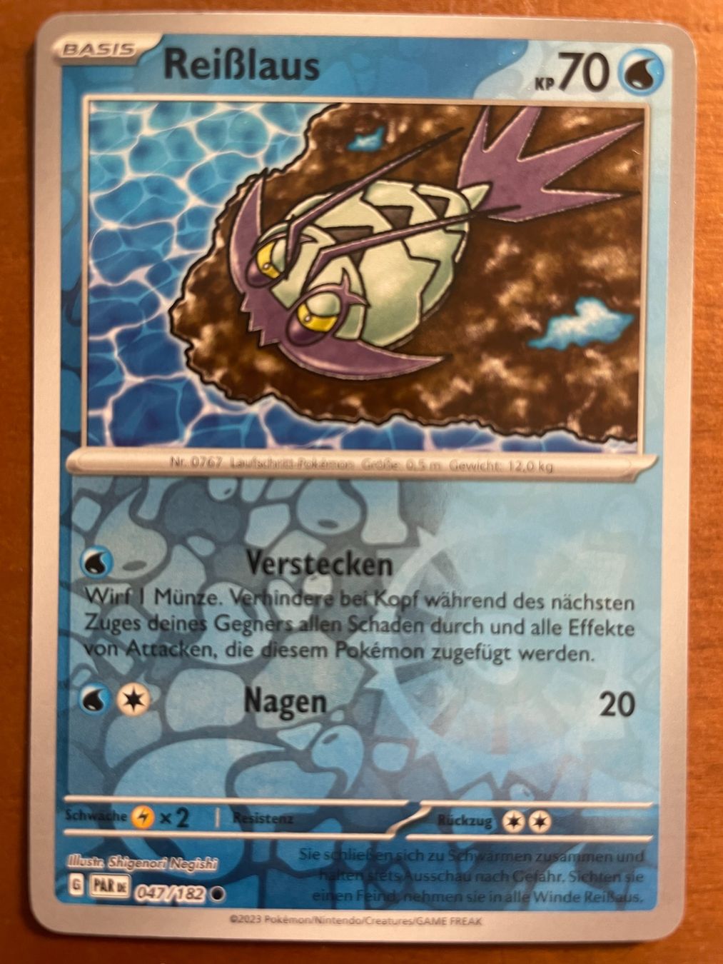 Pokémon Carte collezionabili: Pokemon Riesslaus Reverse (Versand gratis) – Nuovo (secondo la descrizione) da Chur venduto da Angerson