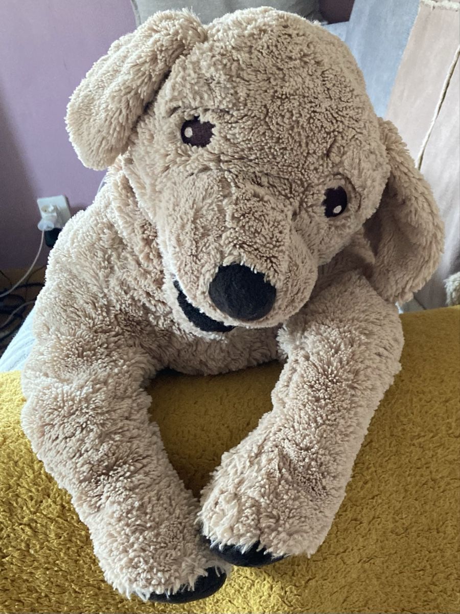 Ikea Giocattoli: Grande peluche chien tout doux – Nuovo (secondo la descrizione) da Ardon venduto da hel_2sxp 2