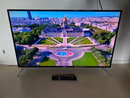 43" QLED UHD HDR 4K Android Smart-TV Polaroid TCS43QLED