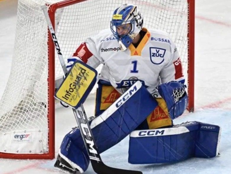 Protezioni & Imbottiture: Original EVZ Goalieset Tim Wolf / Gian Luca Zaetta CCM – Usato da Kallnach venduto da Chaesi89 6