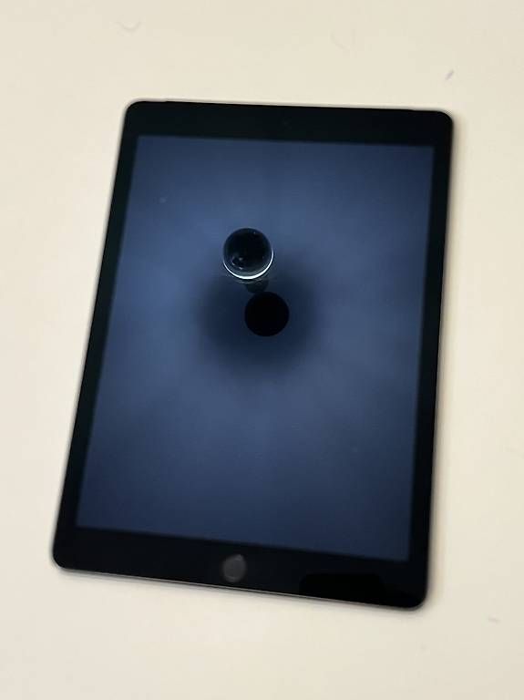 Tablet PC: apple ipad 2016 – Usato da Monte Carasso venduto da GloriaHangar11 1