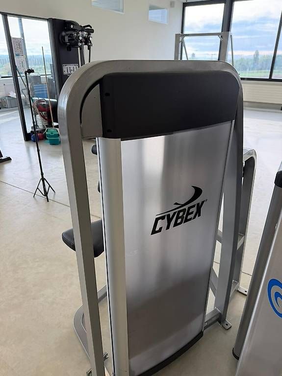 Cybex Hometrainer: CYBEX EAGLE ARM CURL / BIZEPS – Gebraucht aus Tägerwilen von chris.haller 2