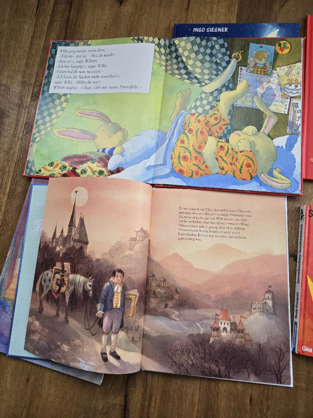 Libri: bücher set – Usato da Wittenbach venduto da Tigerlili 1