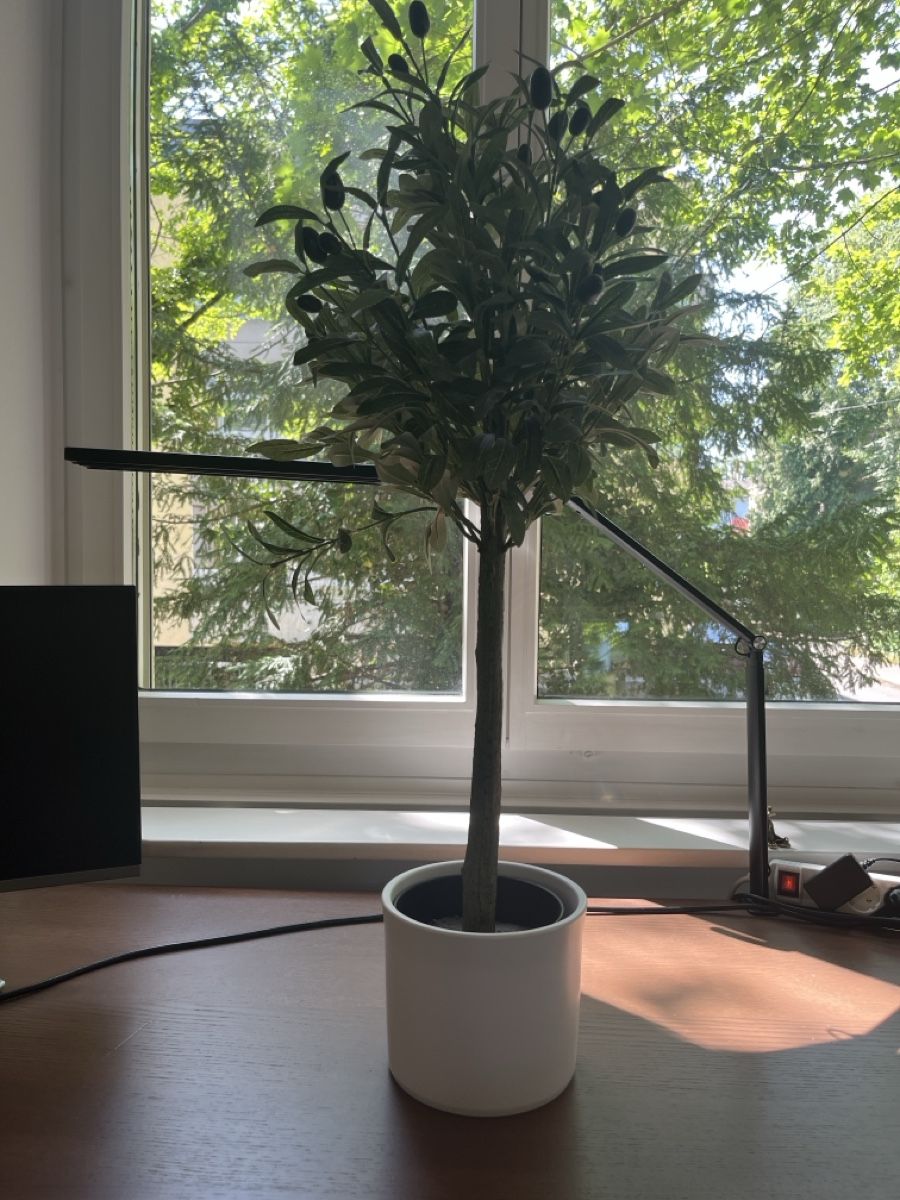 Vasi & Recipienti: Schöne Vase – Usato da Zürich venduto da sim_j8hh