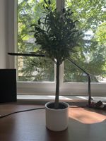 Schöne Vase