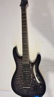 Ibanez Gitarre