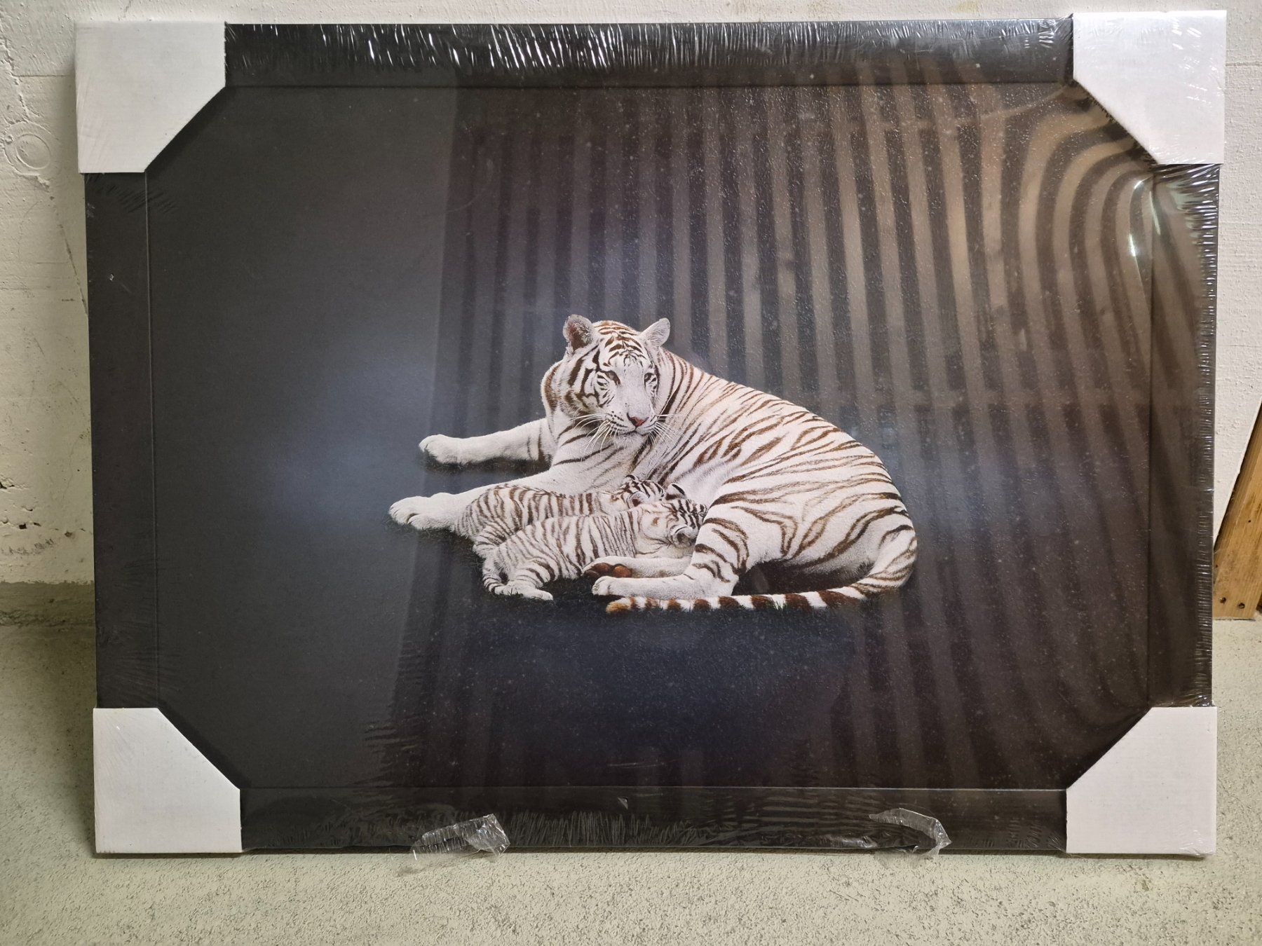 Poster & Bilder: Bild Tiger in weiß – Neu und originalverpackt aus Emmenbrücke von Bruhae