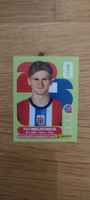 Panini FIFA World Cup 2026 Sticker - NOR 7 David Moller Wolf