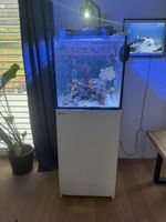 Red Sea Max Nano G2 XL Meerwasser Aquarium 