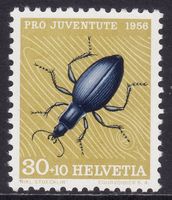 Pro Juventute SBK-Nr. 166 (Laufkäfer 1956) postfrisch **