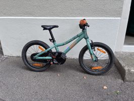 Tolles Scott Roxter Kindervelo Kinderfahrrad 16 Zoll