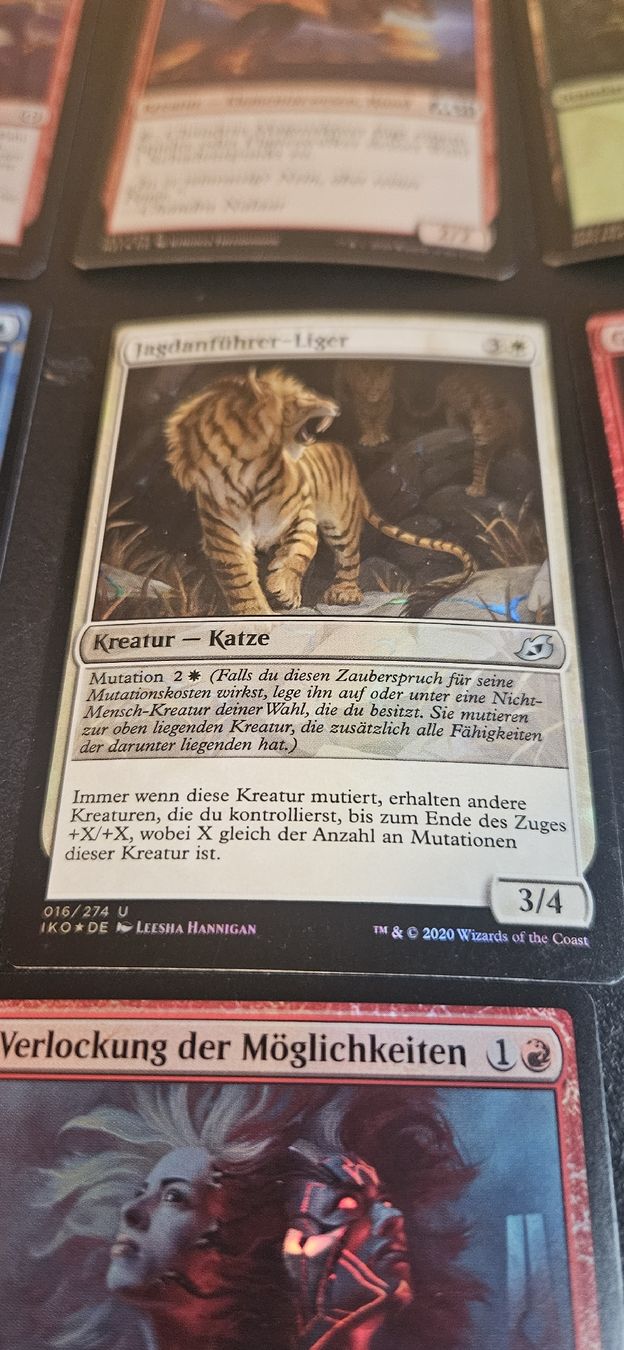 Magic The Gathering Carte collezionabili: MTG Foil Karten 2020-2023 DE – Usato da Belp venduto da Ginus85 3