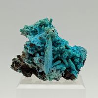 CHRYSSOKOLLE Pseudomorphose von AZURIT und MALACHIT, ELEGANT