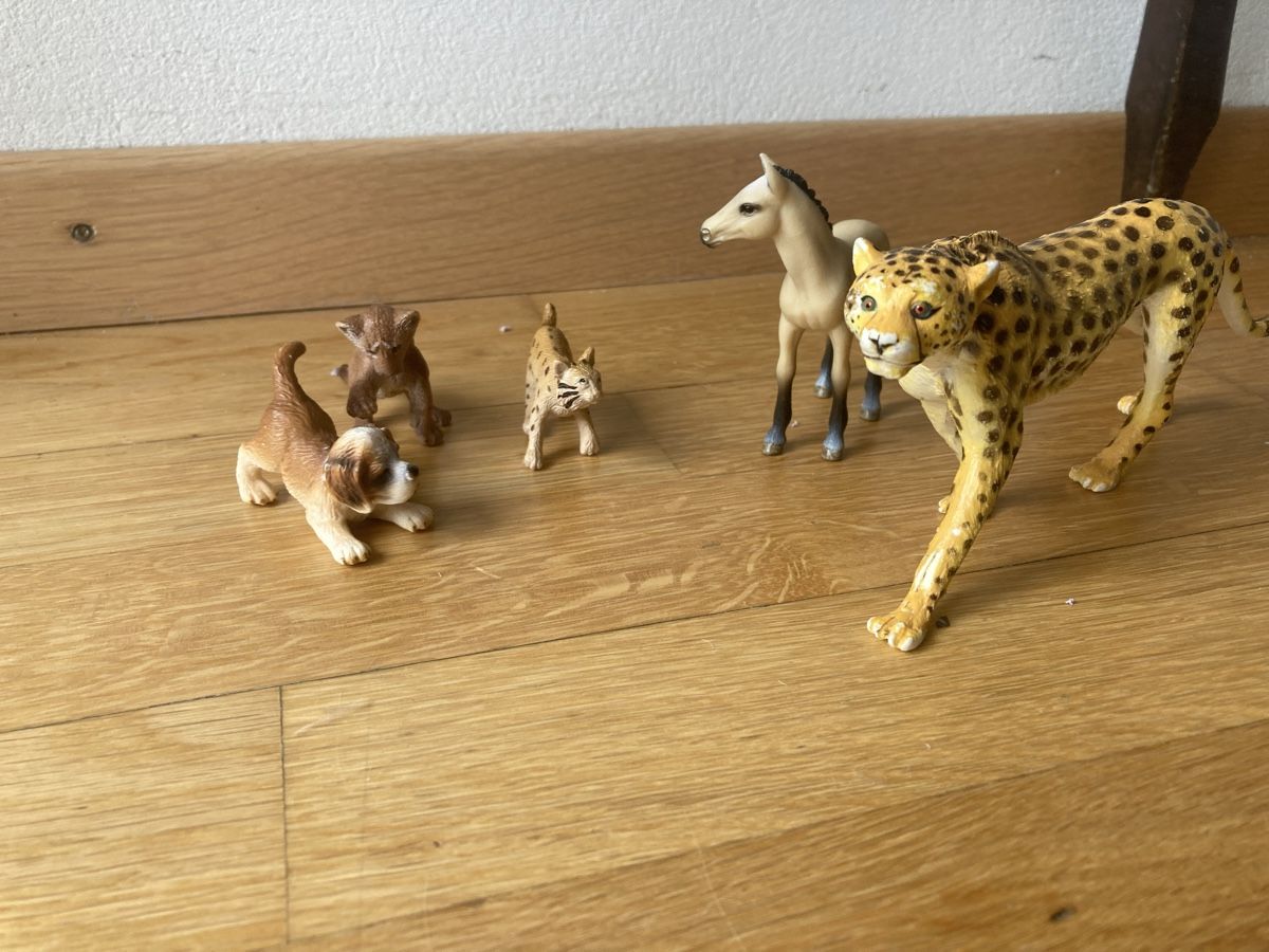 Schleich Figuren: Schleich Tier Model set – Neu (gemäss Beschreibung) aus sion von orchikorchik