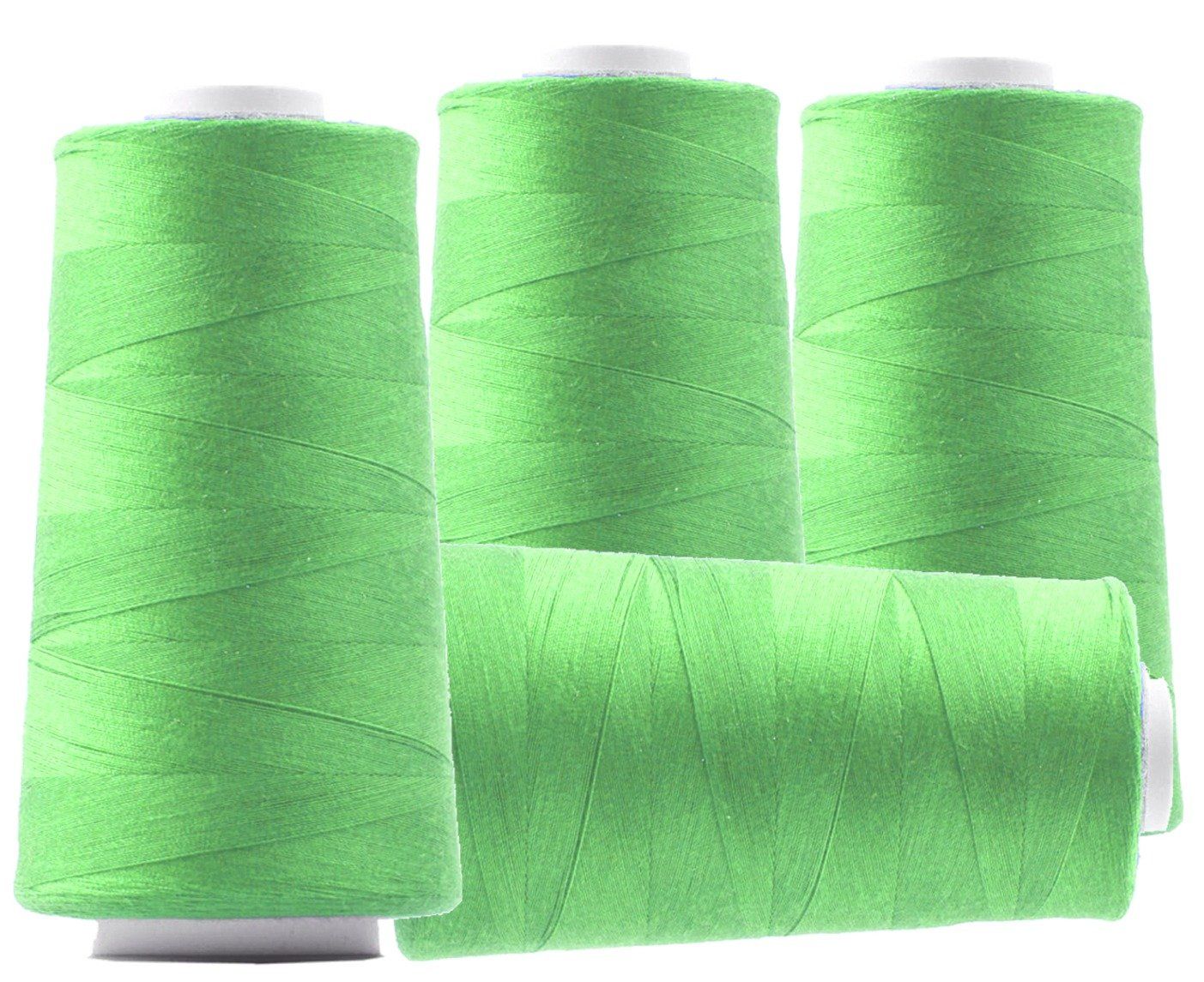 Cordicelle & Fili: Overlockgarn, 3000m, Polyester - mai-grün 47 – Nuovo (secondo la descrizione) da Leimbach TG venduto da ziernaht