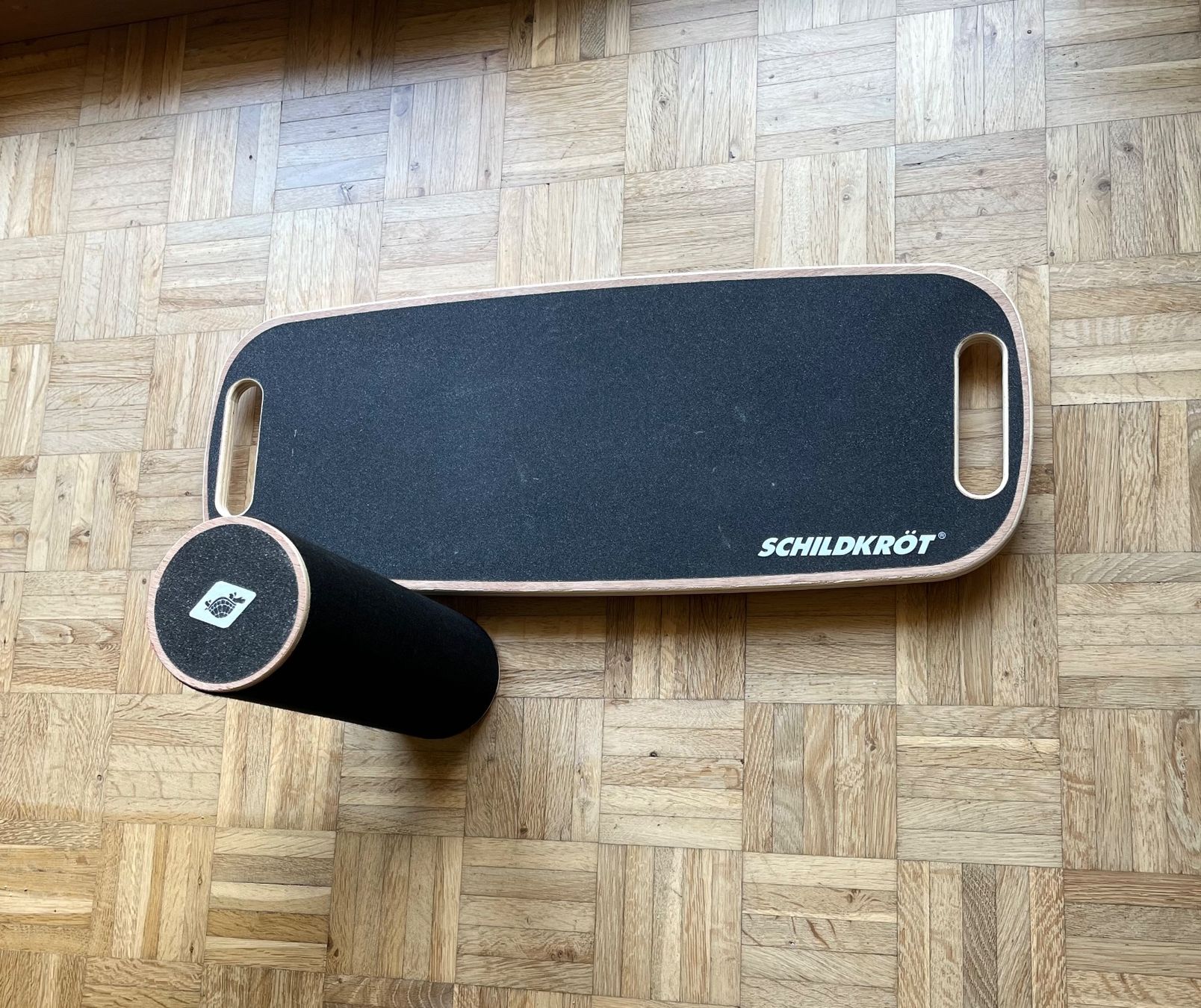 Hometrainer: Balance Board SCHILDKRÖT – Usato da Weinfelden venduto da Kathydoes 1