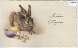 Herzliche Ostergrüsse - Hase mit Ostereier - Litho