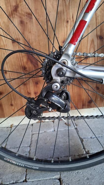 Vélos: Rennvelo – D'occasion à St. Gallen par liv_6n2b 4