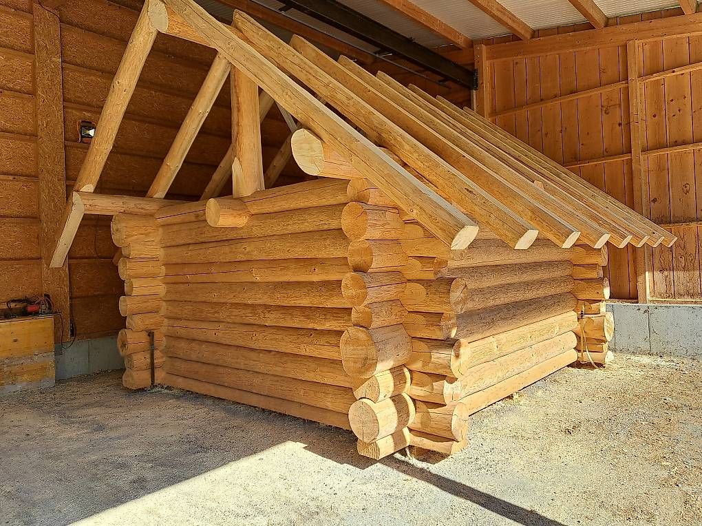 Articoli in legno: Blockhaus Rundstammhaus – Usato da Reinach AG venduto da sic02