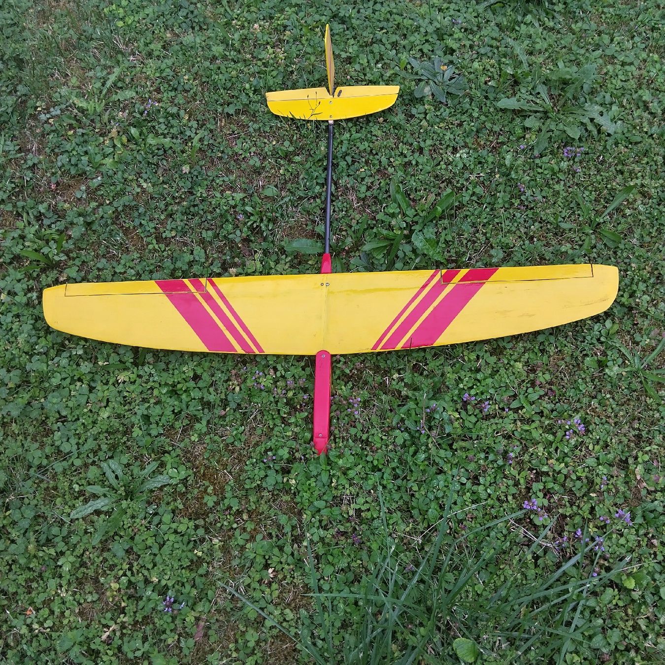RC Modellbau: Birdy Ds von Decker Planes – Gebraucht aus Altdorf SH von Gerrymini