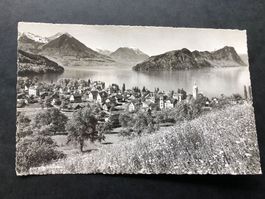 Vitznau mit Stanserhorn Buochserhorn u. Bürgenstock 1961