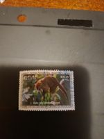 Timbre Panama - Gato Solo (Nasua narica) - Mammifères 49