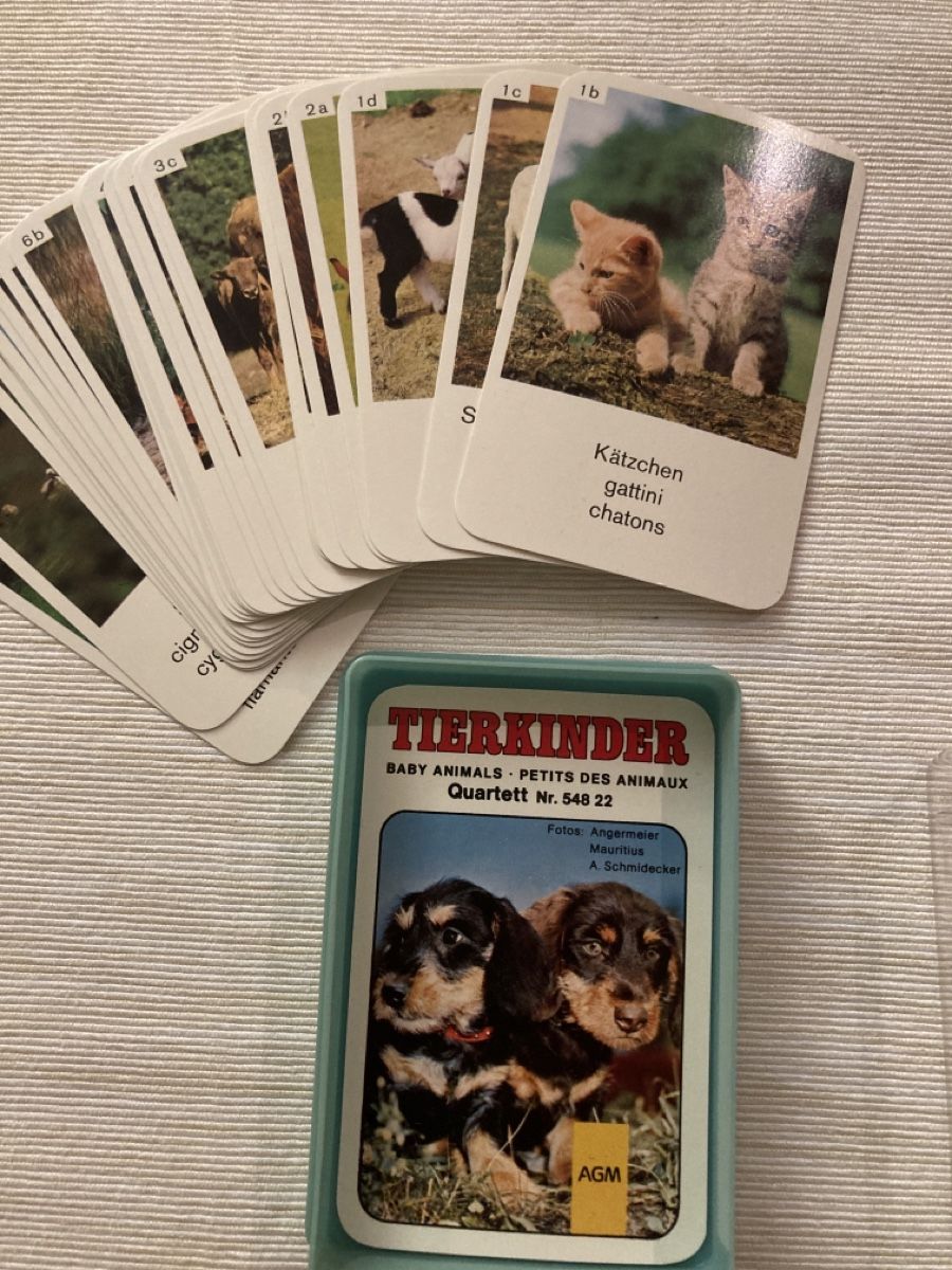 Giochi: Quartett Tierkinder – Usato da Mühlau venduto da hofstattuhu