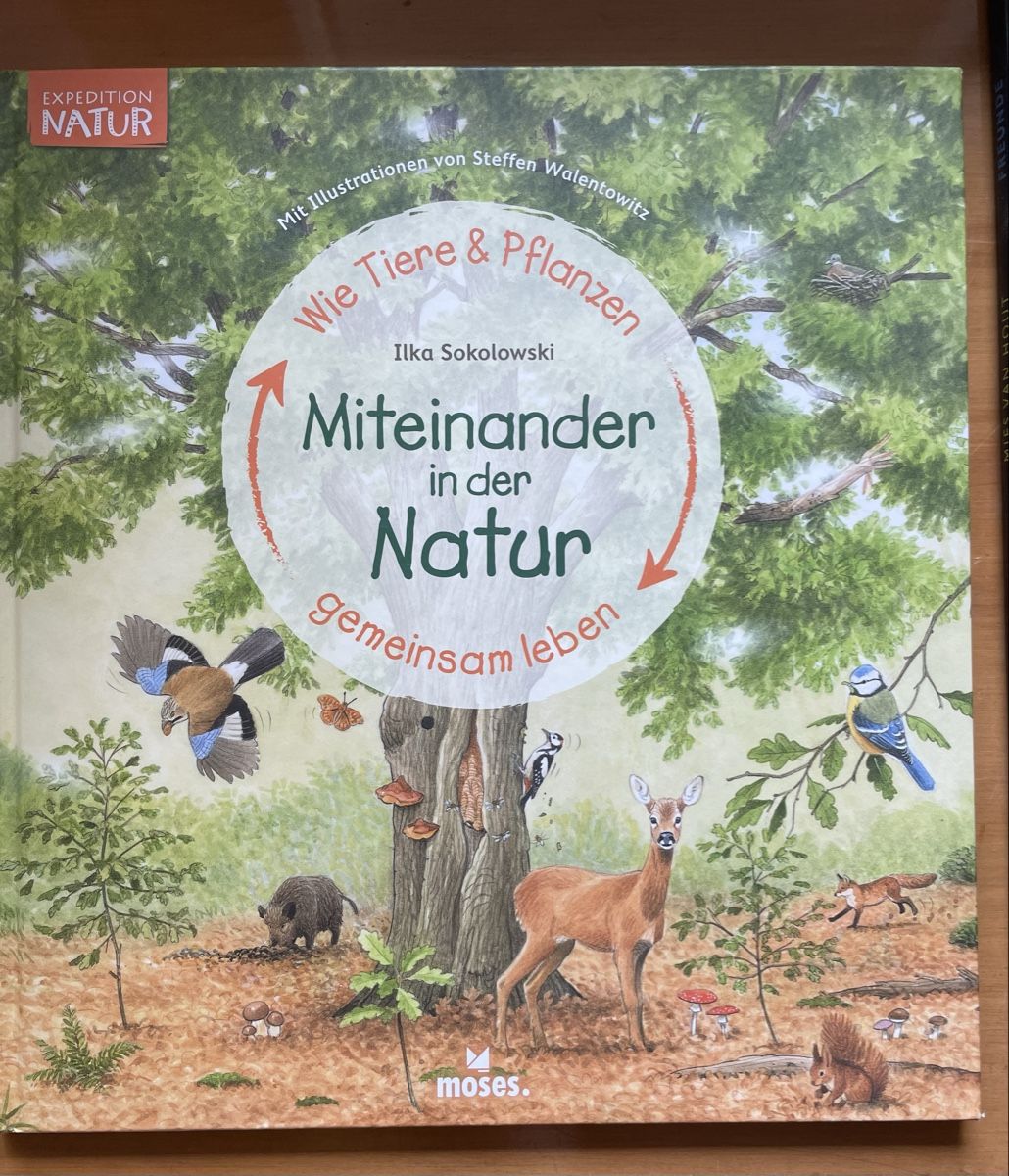 Livres: diverse Kinderbücher – D'occasion à Hinwil par Birebaum_1 3