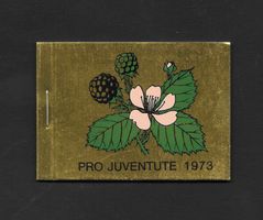 Markenheftchen Pro Juventute Nr. 22 1973 **