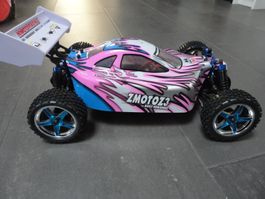 Rennbuggy 4WD 1:10 alles dabei Neu
