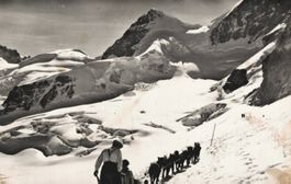 Vintage Postkarte: Jungfraujoch mit Schlittenhunden! 1961