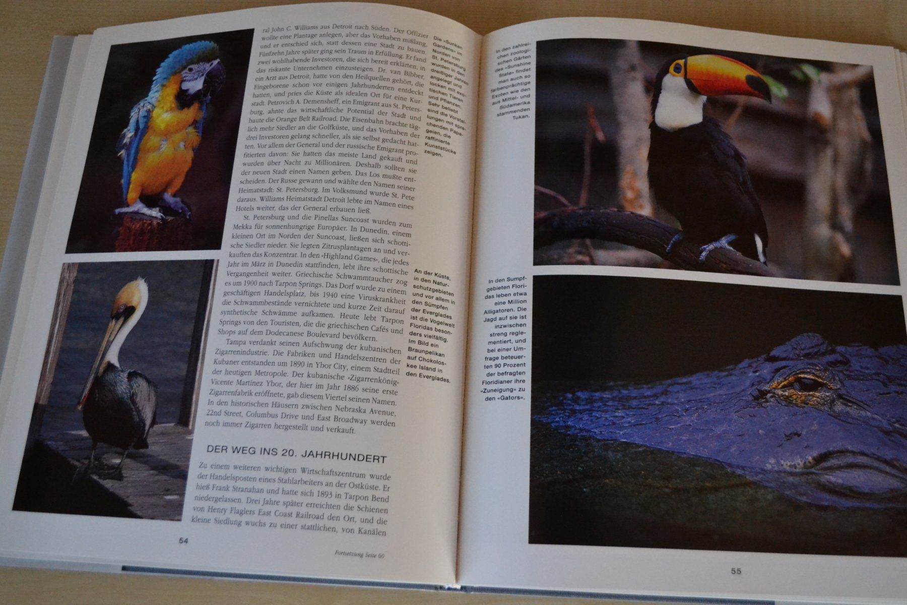 Livres: Florida – D'occasion à Beinwil am See par kajak55 3