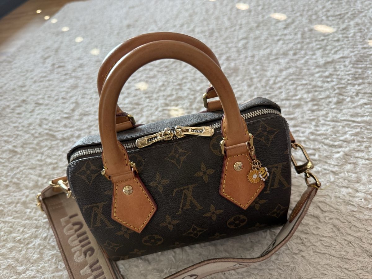 Louis Vuitton Borse da donna: Louis Vuitton Speedy 20 Tasche  – Usato da Basel venduto da man_nx6q 3
