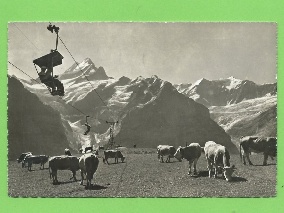 Ansichtskarten: Bergbahn Grindelwald-First – Gebraucht aus Zürich von t24_de