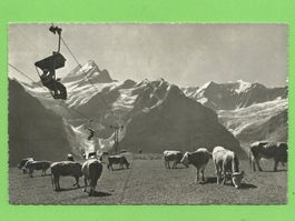 Bergbahn Grindelwald-First