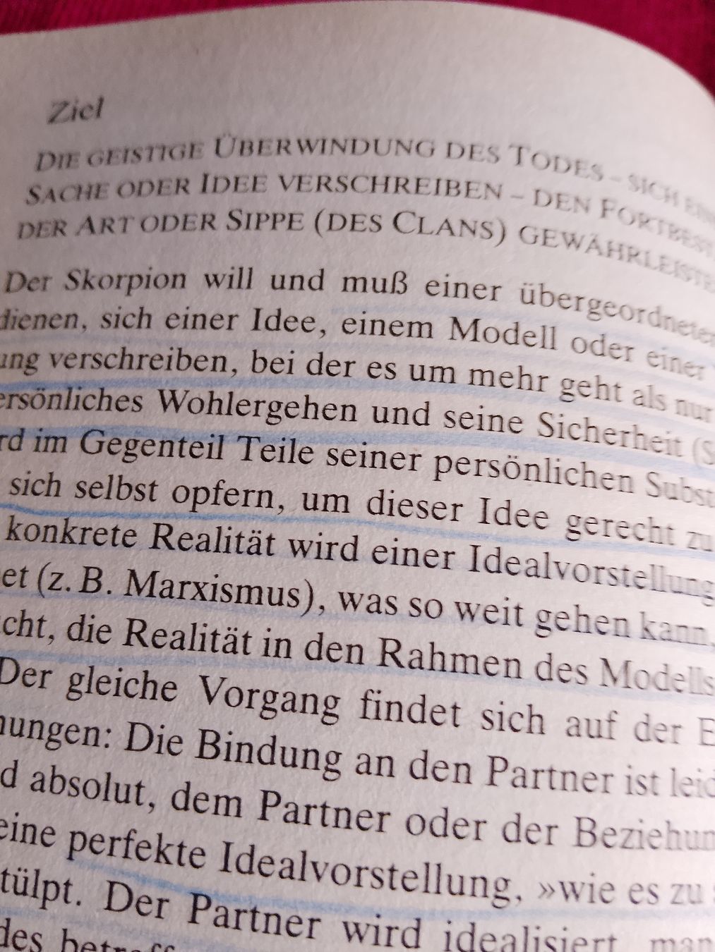 Libri: Die 12 Archetypen  – Usato da Volken venduto da katz5 4