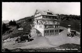 AK Ibergeregg /Schwyz, Hotel Passhöhe, Panorama aus der Voge